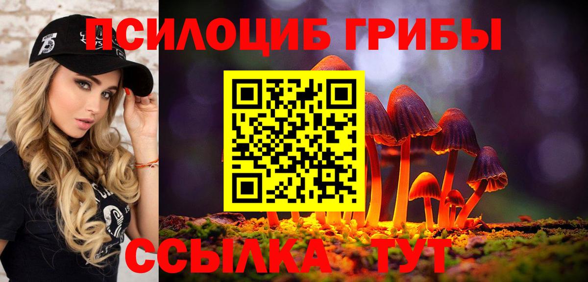 Псилоцибиновые грибы Psilocybine cubensis Кузнецк