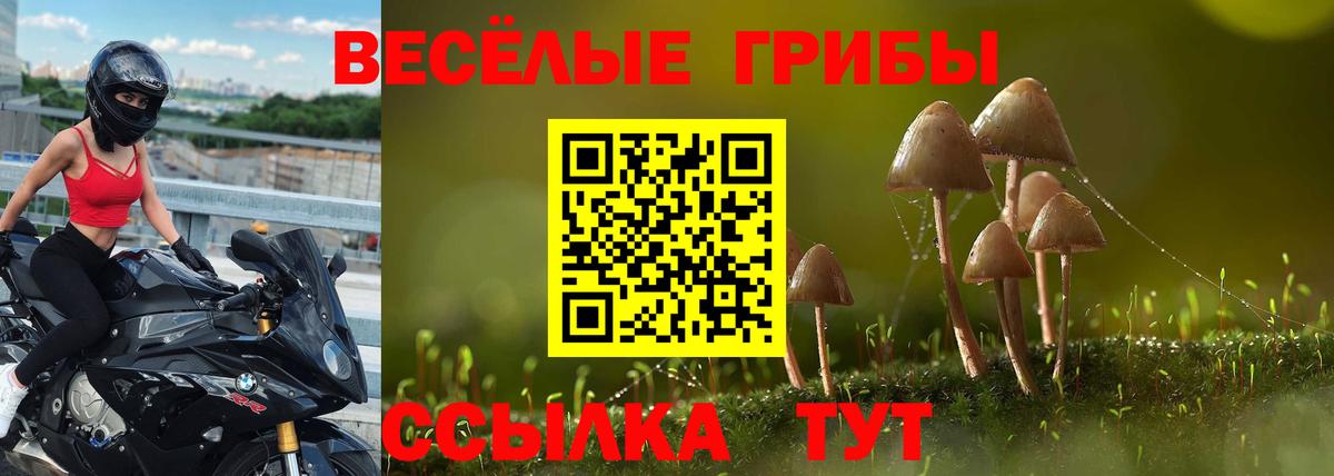 Метамфетамин Кузнецк