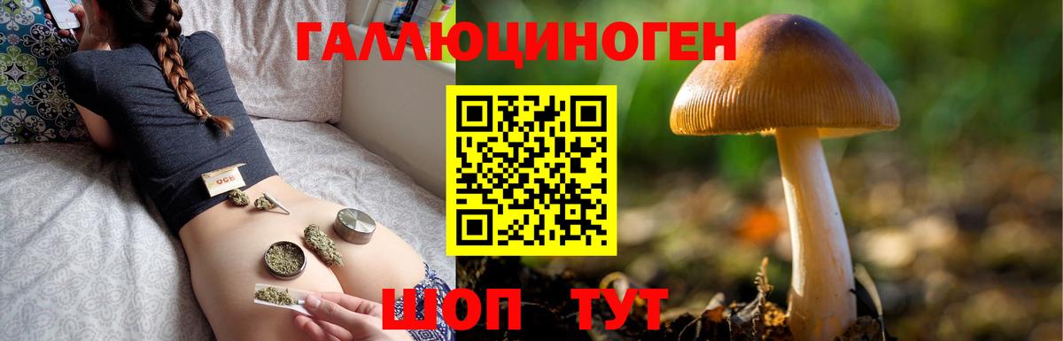 Кузнецк  Галлюциногенные грибы GOLDEN TEACHER  Вход с VPN 
